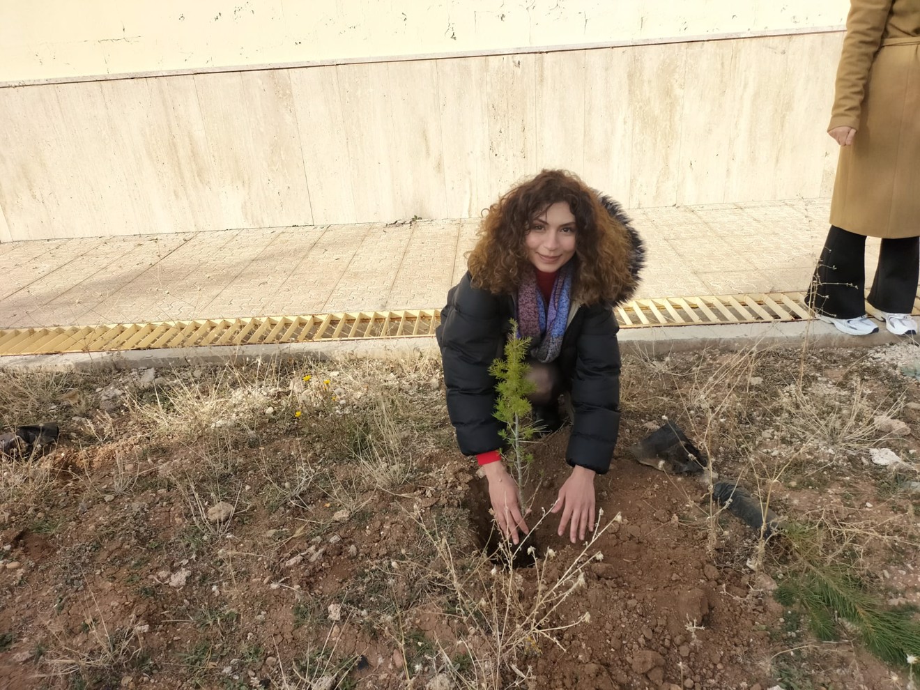 Her Çalışan Bir Fidan